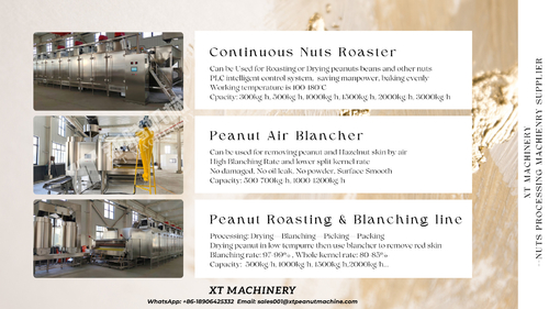 Latest company news about एक्सटी मशीनरी की उन्नत मूंगफली रोस्टिंग और ब्लांचिंग लाइन के साथ अपने मूंगफली प्रसंस्करण में क्रांति लाएं