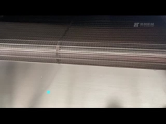 निरंतर बेल्ट प्रकार की ओवन 300kg/h इलेक्ट्रिक हीटिंग नट रोस्टर उपकरण हवा ठंडा के साथ