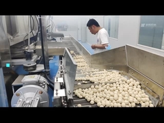 इलेक्ट्रिक कोटेड पीनट स्विंग ओवन कोटेड पीनट रोस्ट्र 100KG/घंटा