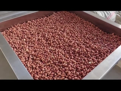 पीएलसी नियंत्रण निरंतर नट्स ओवन निरंतर नट्स रोस्टर ड्रायर/रोस्टर