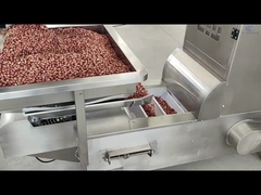 ज़ेड टाइप एलिवेटर कन्वेयर