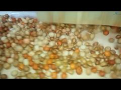 कोटिंग और रोस्टिंग उत्पादन लाइन